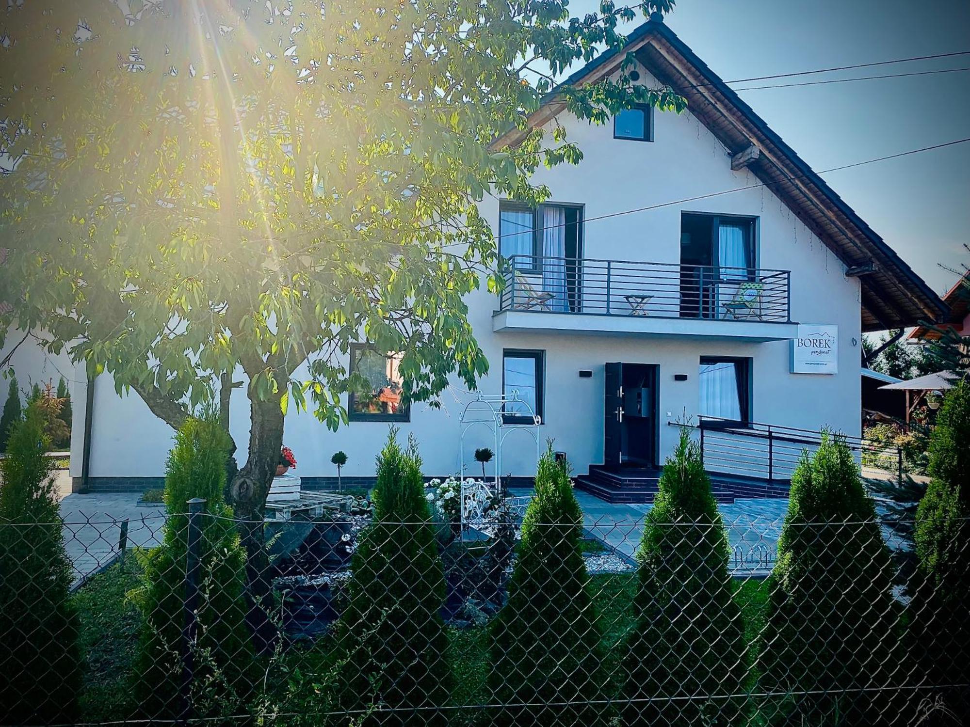 Borek Medyka Экстерьер фото